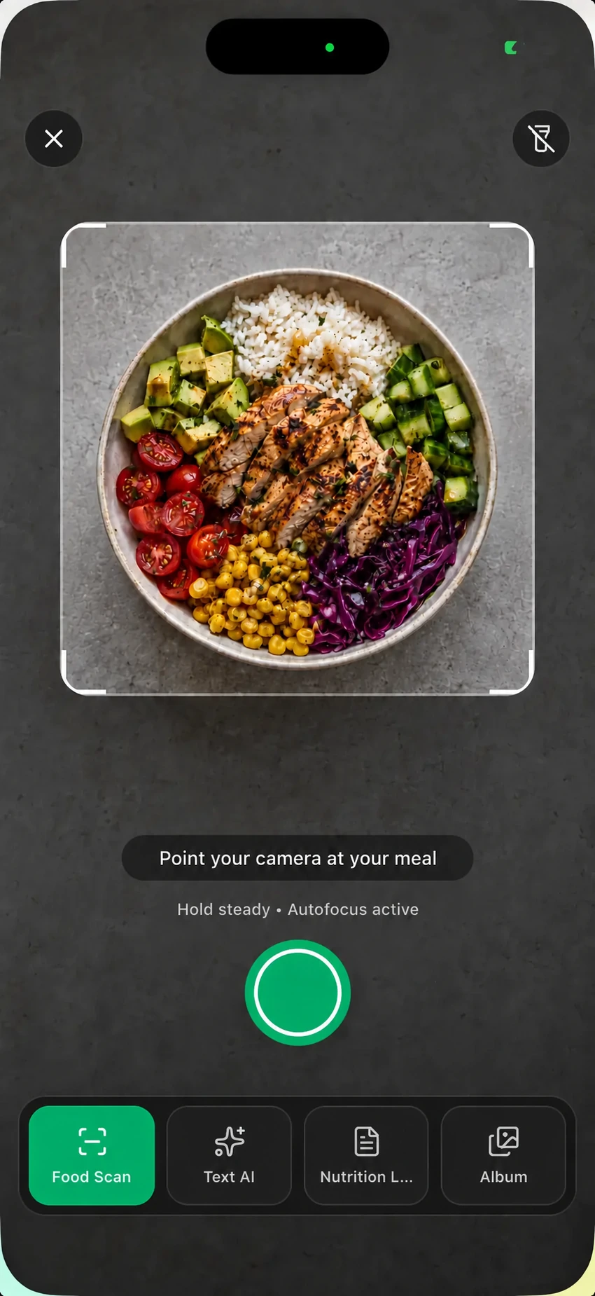 Meal being scanned with Macroful on iPhone