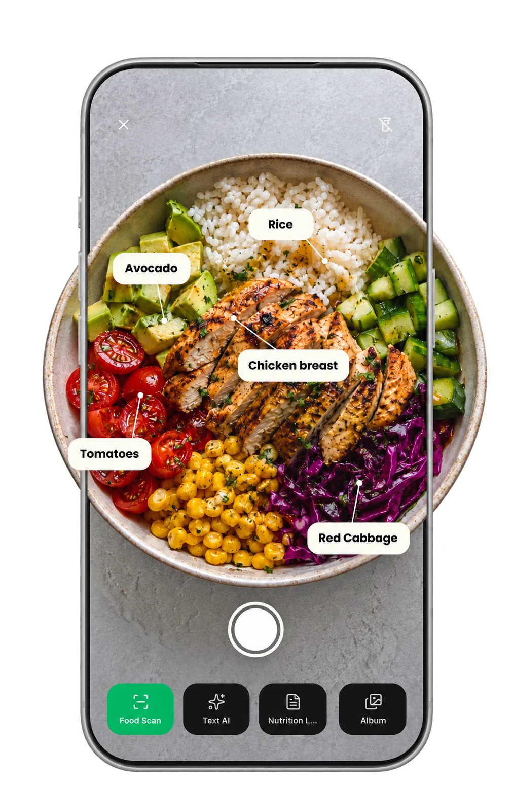 Macroful detects rice, avocado, chicken, tomatoes, and red cabbage in a meal photo